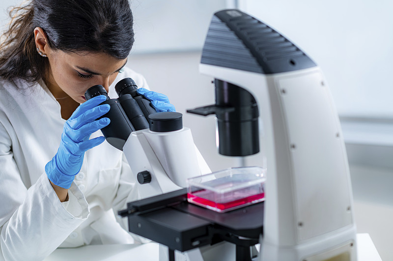 研究细胞培养的研究员图片下载