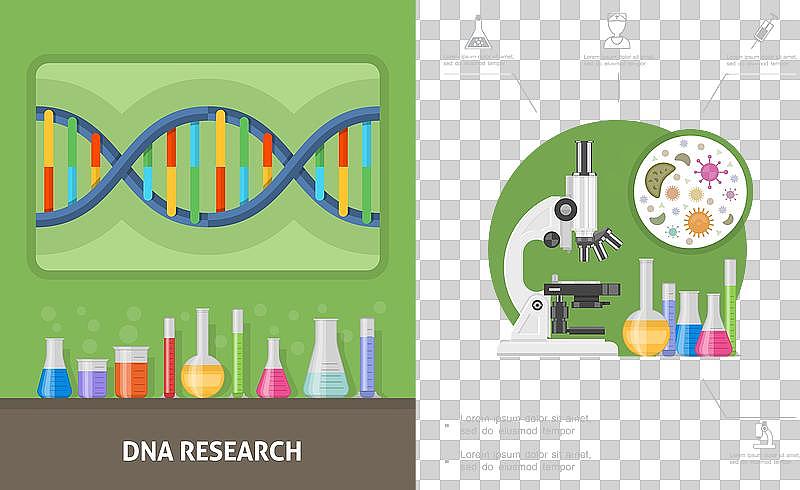 平面遗传研究构图图片下载