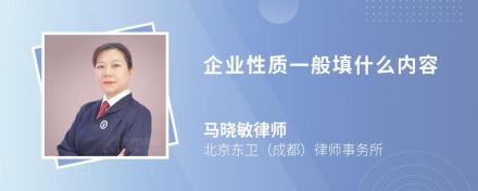 企业性质一般填什么内容