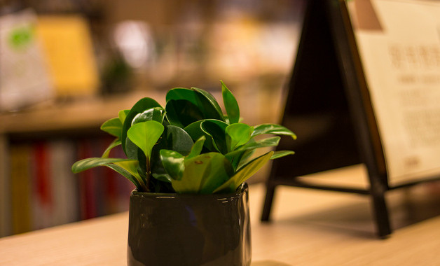 家具邀请函(3篇范文)-模板-格式-怎么写