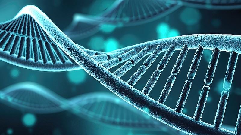 DNA双螺旋结构图片下载