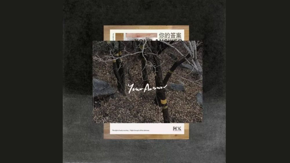 bài nhạc TikTok Trung Quốc