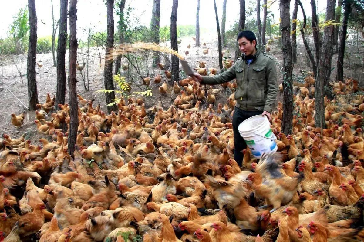 农村开店铺卖什么好?适合农村十大冷门暴利生意推荐