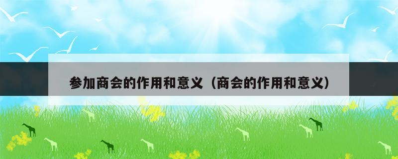 参加商会的作用和意义（商会的作用和意义）