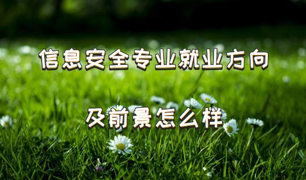 信息安全专业就业方向及前景怎么样？