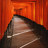 佐世保バーガーについて教えて下さい!
来月親子三世代で長崎に旅行に行きます。
親の唯一の食べ物の希望が佐世保バーガーを食べたい!なのですが、希望をしてる親自身に肉(牛、豚、鶏)アレルギーがあります。
重度のアレルギーでは無いので、例えばコロッケ1個(中に挽き肉入り)程度であれば問題ありませんが、よくある薄いハンバーグの様なものはアレルギーが出てしまいます。
そこでメ...