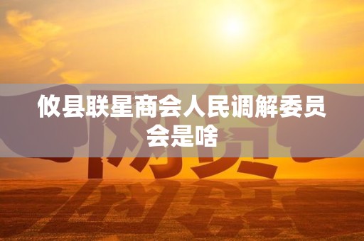 攸县联星商会人民调解委员会是啥