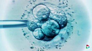 美国30余年前冷冻胚胎诞出婴儿，打破世界纪录