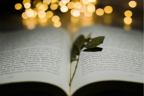 对赞助商感谢信（精选5篇）