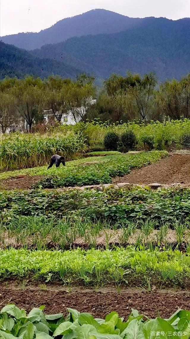 农村开店铺卖什么好?适合农村十大冷门暴利生意推荐