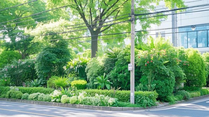 经典的景观 中国十大文化景观