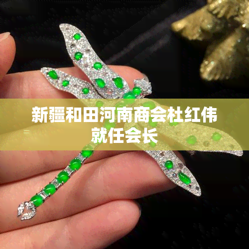 新疆和田河南商会杜红伟就任会长