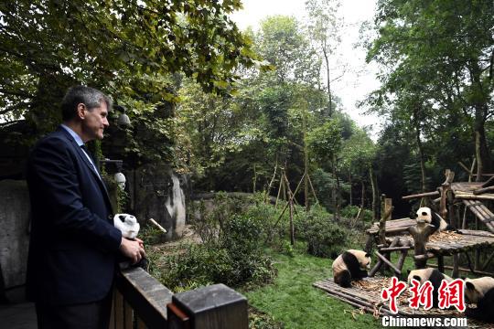 中国大熊猫被美国亚洲协会授予&ldquo;亚洲创变者&rdquo;奖