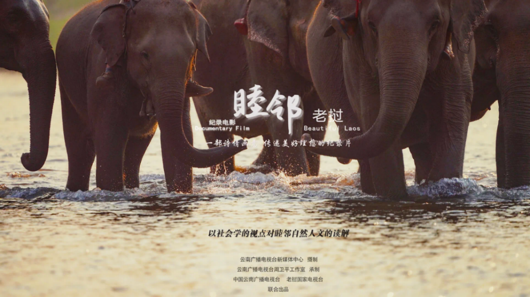 2024云南广电视听：提前2年完成应急广播建设任务 IPTV新增用户220.26万-DVBCN