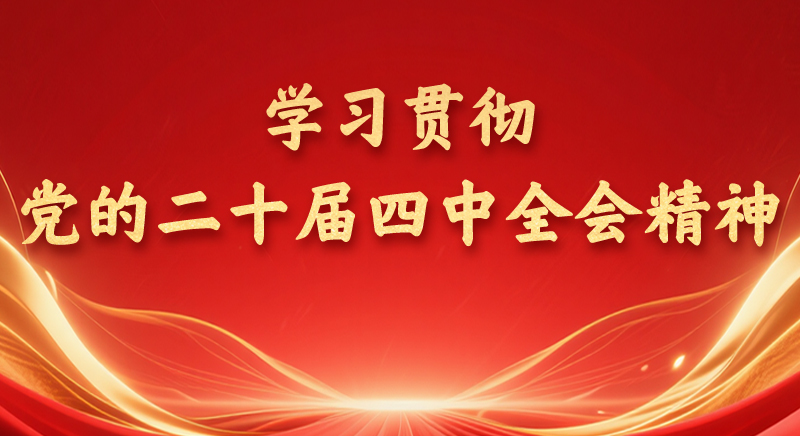 学习贯彻党的二十届四中全会精神