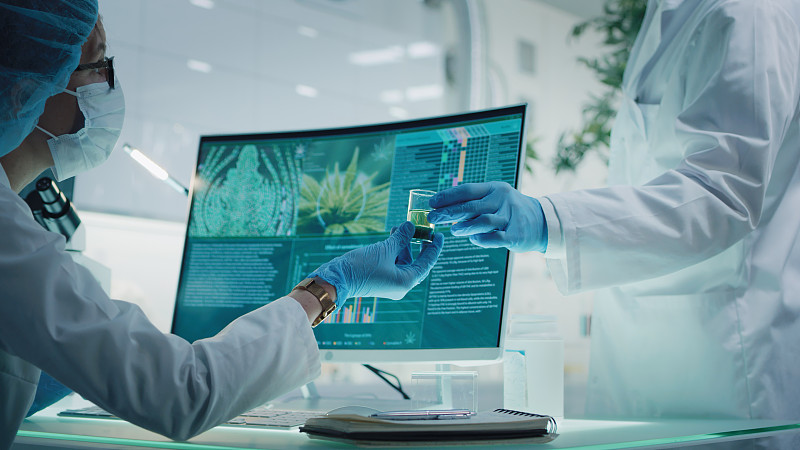 不同的科学家在检查医用大麻。通过CBD油样品。电脑屏幕上的图表和模型图片下载