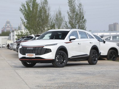 哈弗神兽价格，各配置车型售价全解析