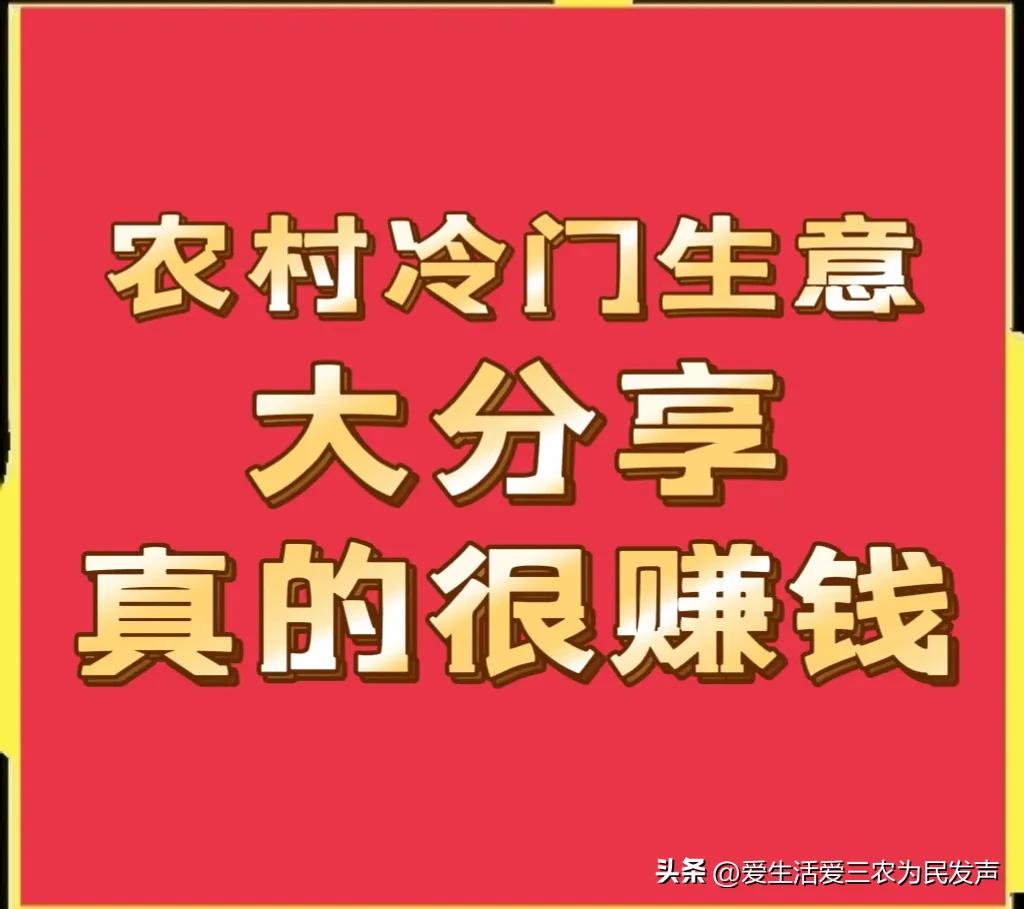 县城冷门暴利生意有哪些？农村十大冷门暴利生意排行榜